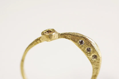 Crescent Duality Ring