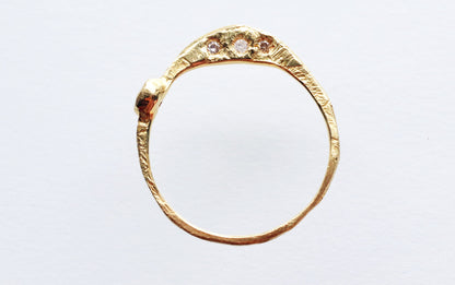 Crescent Duality Ring